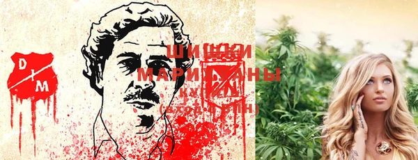 эйфоретик Заводоуковск