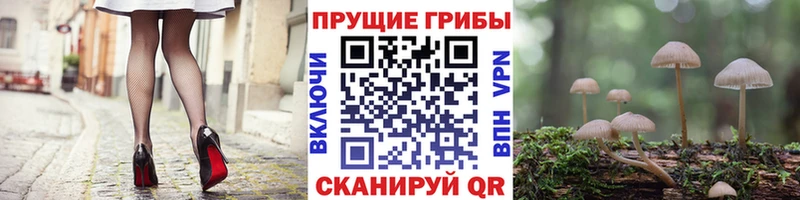 Купить закладки  Кадников  Псилоцибиновые грибы Psilocybine cubensis 