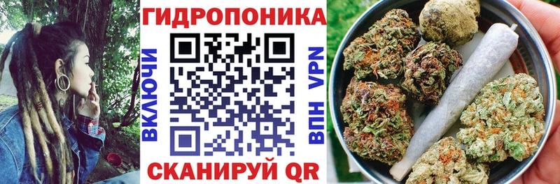 Конопля конопля  Купить закладки  Кадников 
